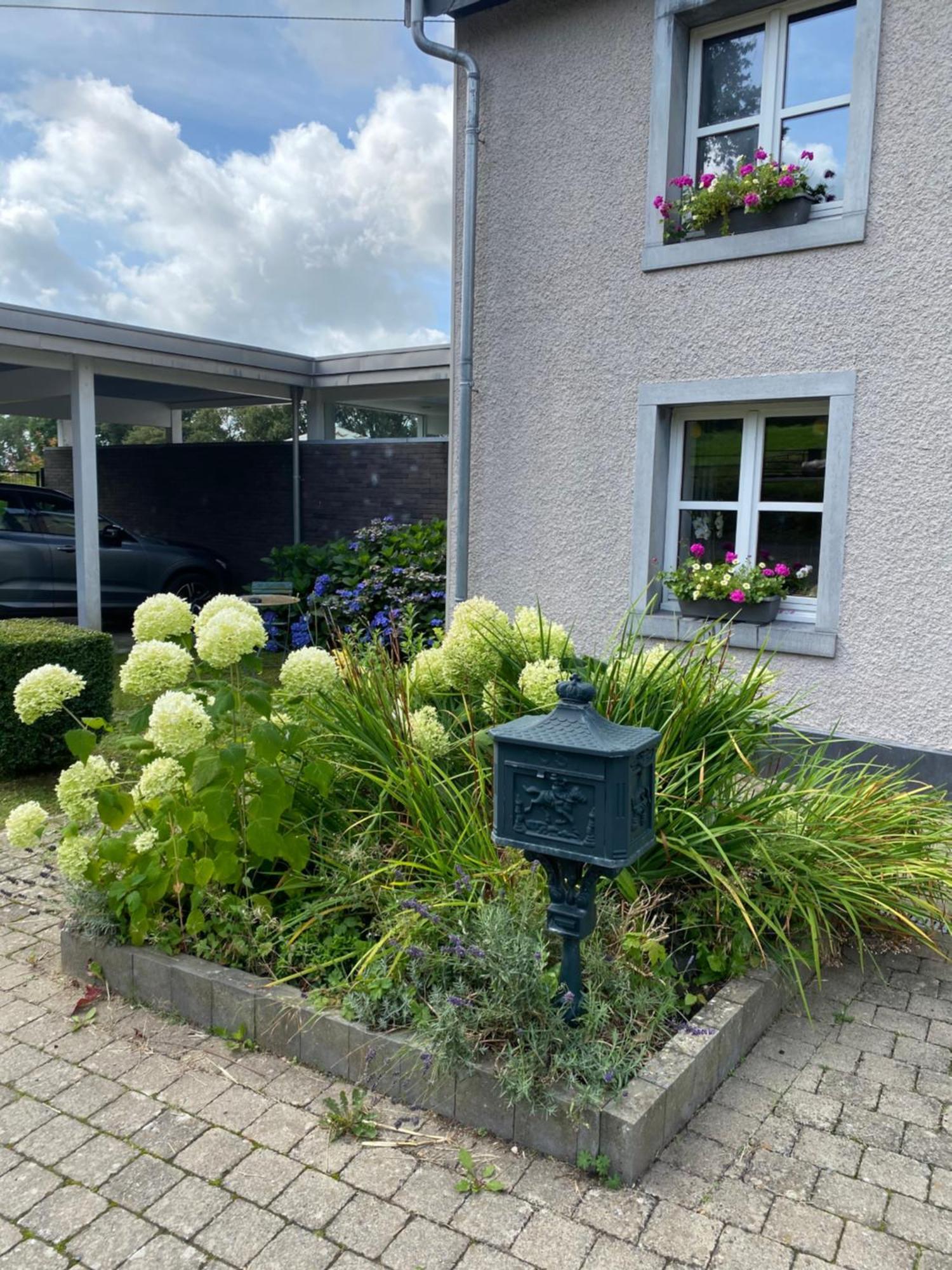 Les Sansonnets Vaux-sur-Sure Exterior foto